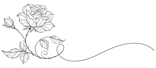Rose flower line art style vector illustration