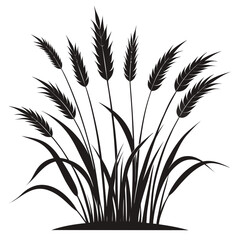 wheat ears vector