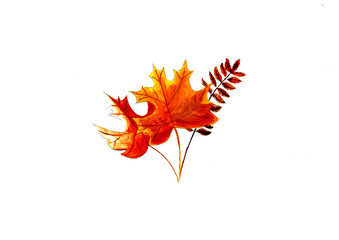 Obraz premium Vibrant gouache painting of autumn leaves in warm reds, oranges, and yellows. Features a prominent maple leaf alongside smaller foliage, evoking seasonal beauty with opaque colors