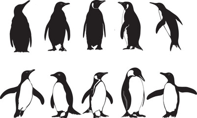 Penguin Pairing Two penguins close together standing side by side with heads slightly tilted. full length silhouette black vector illustration