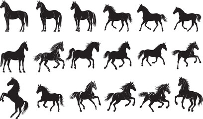 Fototapeta premium Horse Rearingâ€‹ On hind legs front legs raised tail straight up. full length silhouette black vector illustration