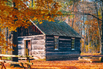  
A cozy log cabin sits nestled in a vibrant autumn forest, surrounded by colourful fall foliage and bathed in warm sunlight. 