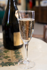 Pouring and tasting of dry sparkling wine brut, grand reserve, champagne in Ay-Champagne wine...