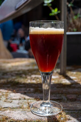 Belgian beer in glass in old brewery in Bruges, dubbel dark, tasty beverage, lunch with beer, tourist destination, Flanders, Belgium
