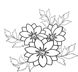 coloring pages ,color page 