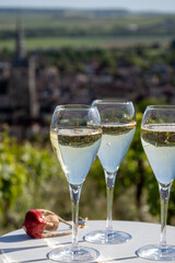 Pouring and tasting of dry sparkling wine brut, grand reserve, champagne in Ay-Champagne on green hilly vineyards in old wine making village in Vallee de la Marne, Champagne region, France