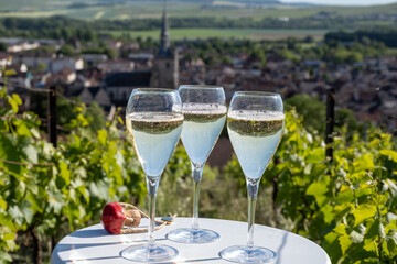 Pouring and tasting of dry sparkling wine brut, grand reserve, champagne in Ay-Champagne on green hilly vineyards in old wine making village in Vallee de la Marne, Champagne region, France