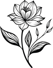Minimalist black and white floral botanical line art