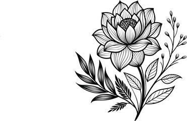 Minimalist black and white floral botanical line art