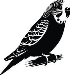 Sitting Budgerigar silhouette vector illustration isolated on a white background