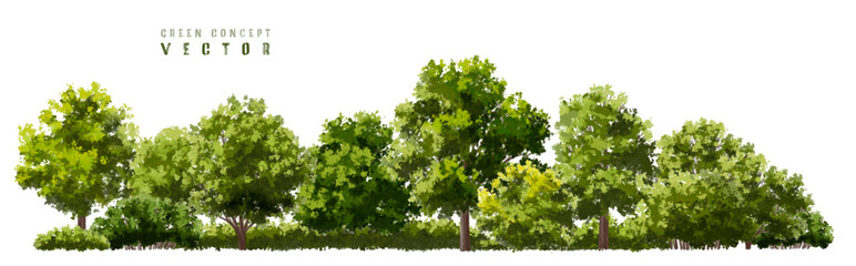  Vector watercolor green  tree or forest side view isolated on white background for landscape and architecture drawing,elements for environment or and garden,Shrub for section
