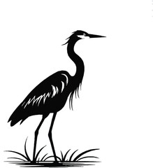 heron silhouette isolated on white