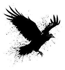 Fototapeta premium Powerful Black Raven Flying Wings Spread Ink Splatter Black and White Drip Splat Abstract Art