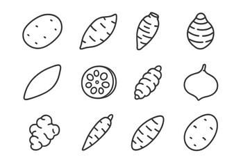 Monochrome root vegetables illustration with various tuber shapes