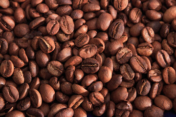 Green, ripe red and roasted fruits of Colombian coffee cultivation