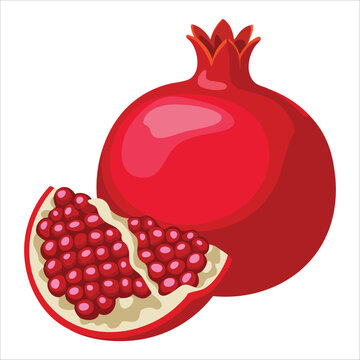 Ripe pomegranate hand drawn in vector style, isolated on white. Perfect for food illustrations, fruit designs and healthy eating concepts