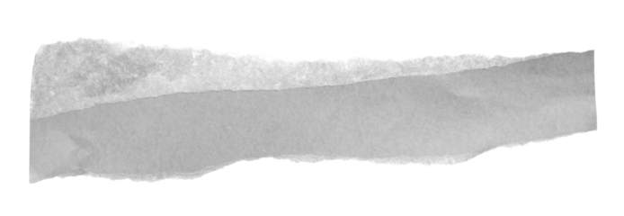 Torn paper scrap isolated on white with clipping path	