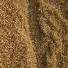 An aerial top-down view of a golden hayfield with a path, showcasing the rich texture of dry straw after the harvest season. A rustic natural background.