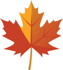 Colorful maple leaf vector illustration on white background