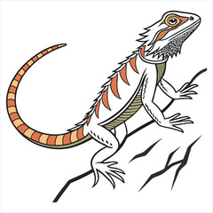 lizard-vector