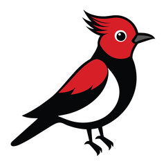 Solid color Tufted Coquette animal vector design