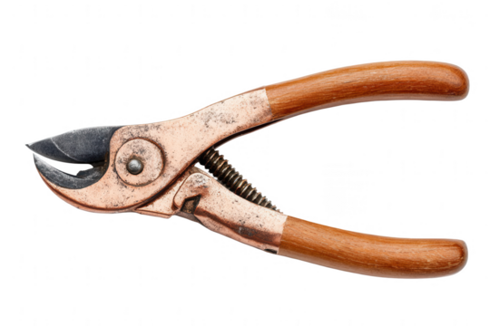 Copper or wood clippers, a carpenter's tool for furniture making, on a white background, png, transparent