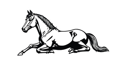 Obraz premium Graceful Resting Horse Sketch – Elegant Lying Down Equine Drawing for Calm and Natural Concepts