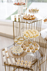 Catering service presenting delicious appetizers on glass stands