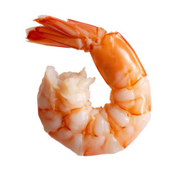 Cooked shrimp isolated on white background
