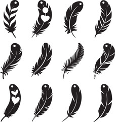 Twelve black feather illustrations with varied designs quill plume