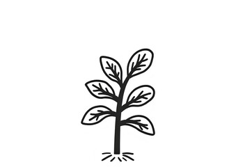 vector  plant illustration