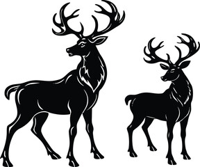Obraz premium two majestic deer silhouettes with large antlers in standing wildlife posture