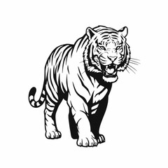 Obraz premium Prowling Bengal Tiger: Monochrome Vector Illustration