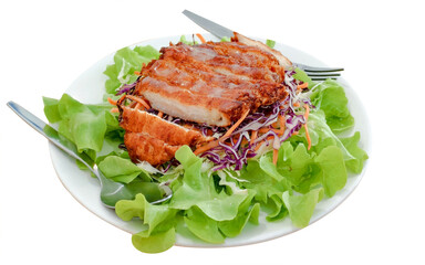 Grilled Chicken Salad: A delectable plate of grilled chicken breast, nestled atop a vibrant bed of fresh, crisp lettuce and colorful slaw, a tantalizing culinary delight.