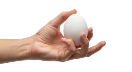 Hand holding white egg isolated on transparent background