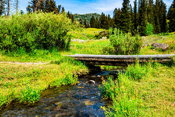 bridge over a beautiful mountain stream