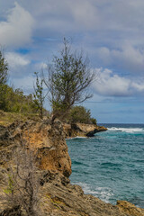Fototapeta premium Kawailoa Bay, Kauai, Hawaii