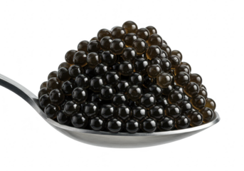 Black caviar piled on a spoon isolated on transparent background