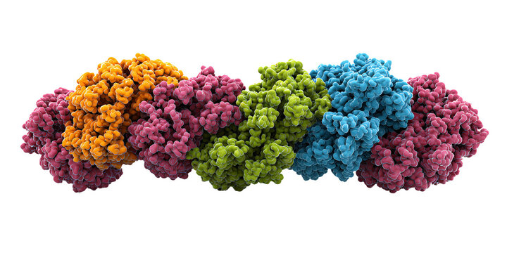 Molecular structure of enzyme complex with colorful subunits on black background Scientific visualization of protein, molecule, and biochemistry