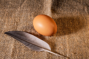 Chicken egg and bird feather displayed on a rustic peasant napkin top view