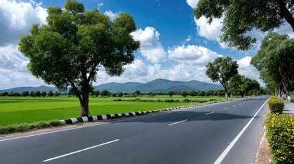 Lush green paddy fields stretch broadly with a clear blue sky overhead and mountains beyond, creating a tranquil summer atmosphere