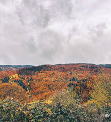 Colorful Tapestry of Autumn Trees on Rolling Hills in a Turkish National Park