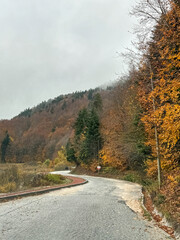 Winding Cobblestone Road and Red Path at Gölcük Nature Park, Bolu, in Autumn