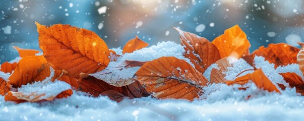 Fall leaves in first snow.