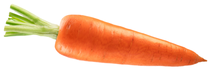 One fresh ripe carrot isolated on white background. Cut out PNG file.