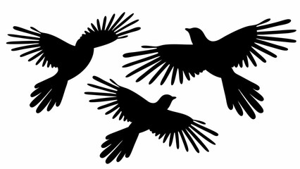Three black bird silhouettes with outstretched wings flying in different directions on a white background
