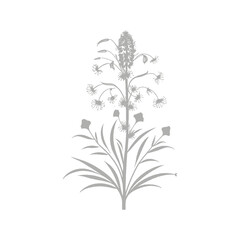 Dandelion Wish Silhouette Design