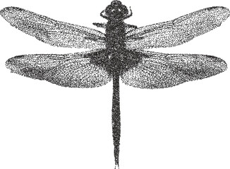 Bug vintage y2k stipple art, insect halftone stipple brutalist retro vector png with transparent background, antenna 2000s aesthetic photocopy effect tattoo © HoneyPunch