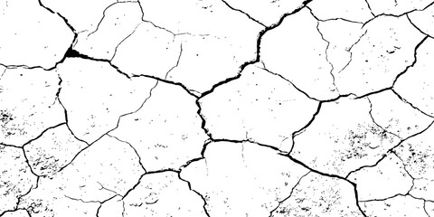 A high-contrast, black and white texture overlay of extensively cracked and distressed dry ground, featuring jagged, organic fissures and subtle granular details against a stark white background.