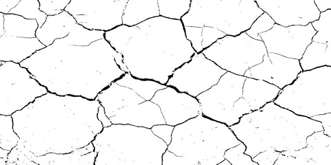 Black and white cracked texture resembling dry, parched earth or aged concrete. High-contrast grunge pattern ideal for backgrounds, distress overlays, or abstract design elements.